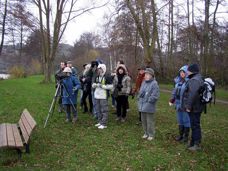 2009 01 Ornitho à Ecluzelles 11